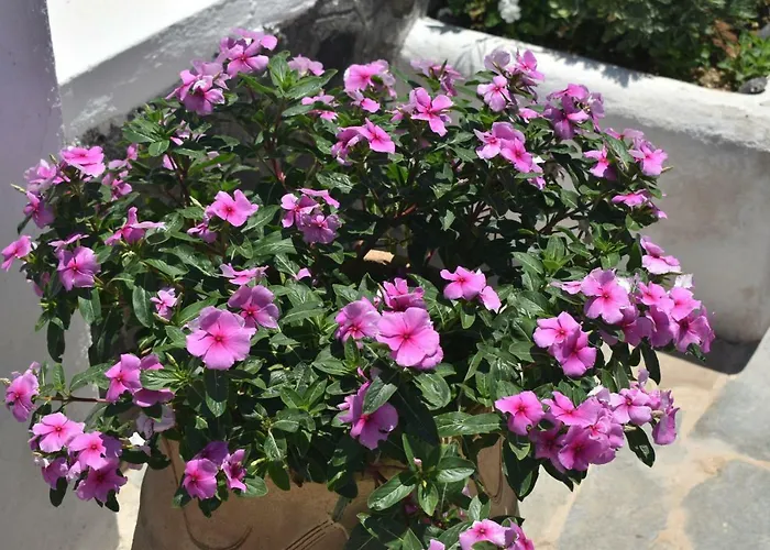 Appart hôtel Ostria Beach 3*